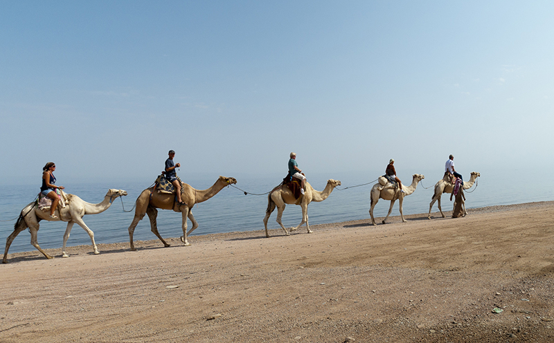 leisure tour to israel